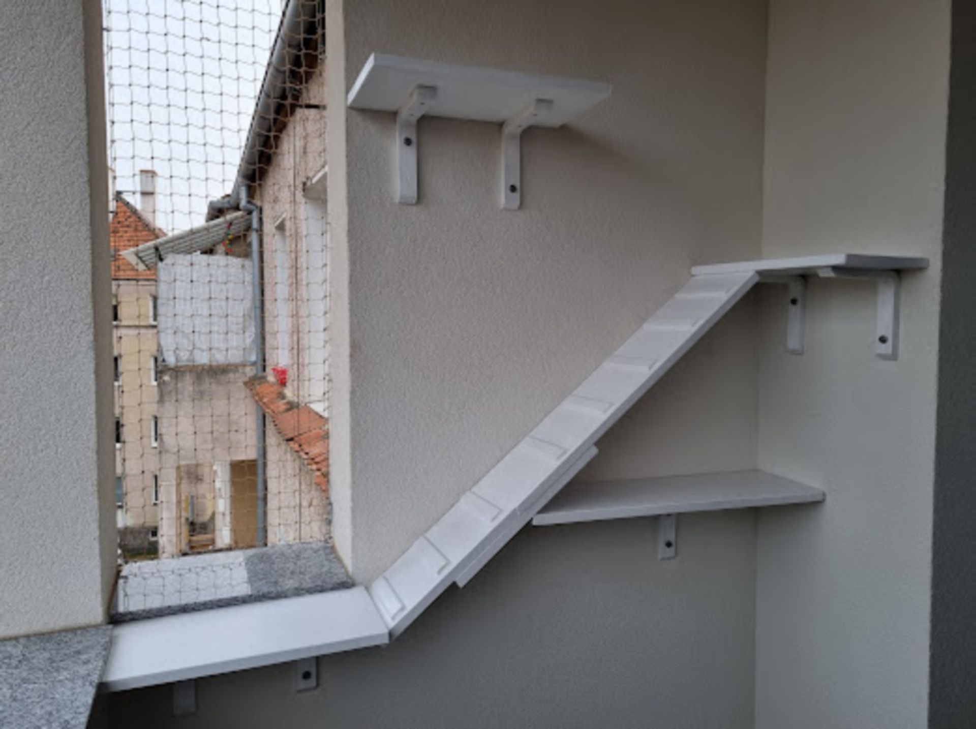 Jak uczynić balkon przestrzenią przyjazną i bezpieczną dla kotów?